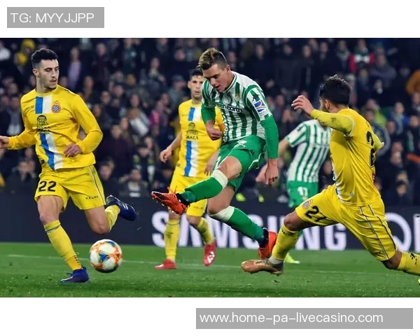 畅享360足球免费直播尽在掌握精彩赛事不容错过 畅享360足球免费直播尽在掌握精彩赛事不容错过